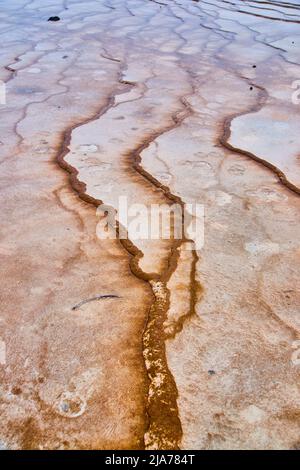 L'eau alcaline coule sur des terrasses uniques au printemps de Yellowstone Banque D'Images