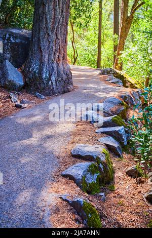 Incroyable sentier de randonnée en amont, qui s'enroule dans les montagnes de Yosemite Banque D'Images