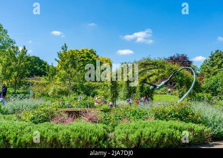 WISLEY, SURREY, Royaume-Uni 22 MAI 2022: RHS Garden à Wisley est l'un des cinq jardins gérés par la Société Banque D'Images