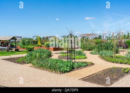 WISLEY, SURREY, Royaume-Uni 22 MAI 2022: RHS Garden à Wisley est l'un des cinq jardins gérés par la Société Banque D'Images