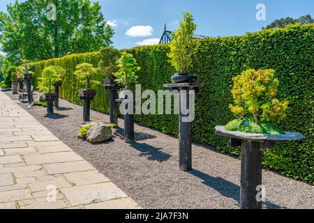 WISLEY, SURREY, Royaume-Uni 22 MAI 2022: RHS Garden à Wisley est l'un des cinq jardins gérés par la Société Banque D'Images