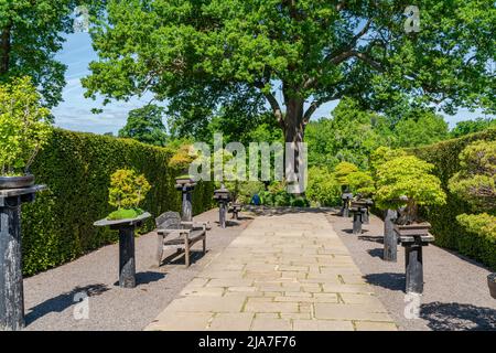 WISLEY, SURREY, Royaume-Uni 22 MAI 2022: RHS Garden à Wisley est l'un des cinq jardins gérés par la Société Banque D'Images