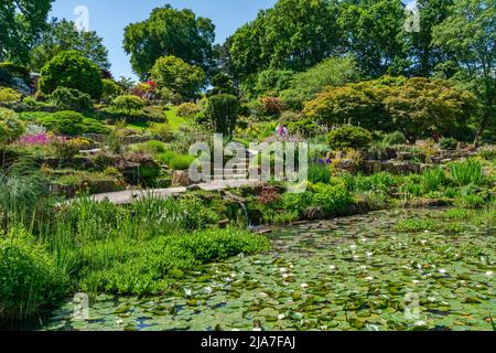 WISLEY, SURREY, Royaume-Uni 22 MAI 2022: RHS Garden à Wisley est l'un des cinq jardins gérés par la Société Banque D'Images