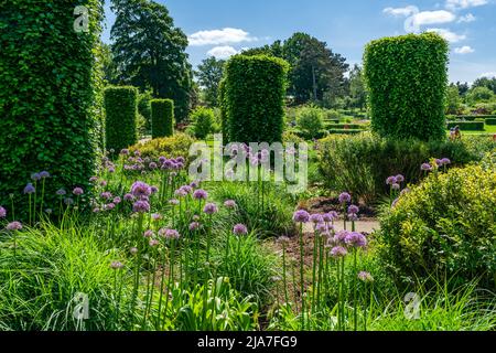 WISLEY, SURREY, Royaume-Uni 22 MAI 2022: RHS Garden à Wisley est l'un des cinq jardins gérés par la Société Banque D'Images