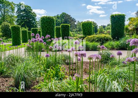 WISLEY, SURREY, Royaume-Uni 22 MAI 2022: RHS Garden à Wisley est l'un des cinq jardins gérés par la Société Banque D'Images