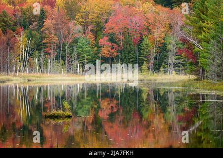 Automne au lac Council dans le parc national de Hiawatha, au Michigan Banque D'Images