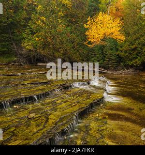 Automne aux chutes du train au dans la péninsule supérieure du Michigan Banque D'Images