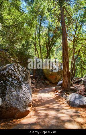 Sentier de randonnée à travers les rochers et les arbres de Yosemite Banque D'Images