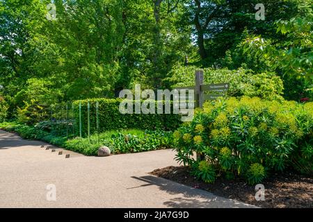 WISLEY, SURREY, Royaume-Uni 22 MAI 2022: RHS Garden à Wisley est l'un des cinq jardins gérés par la Société Banque D'Images