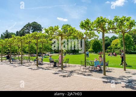 WISLEY, SURREY, Royaume-Uni 22 MAI 2022: RHS Garden à Wisley est l'un des cinq jardins gérés par la Société Banque D'Images