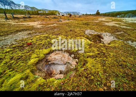 Des trous de geyser secs entourés de mousse dans le bassin de Yellowstone en hiver Banque D'Images