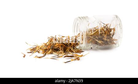 les graines de fleurs marigold, longues, minces et pointues arrachent les graines de la base de fleurs séchées pour se développer organiquement dispersées à partir d'une bouteille de verre Banque D'Images