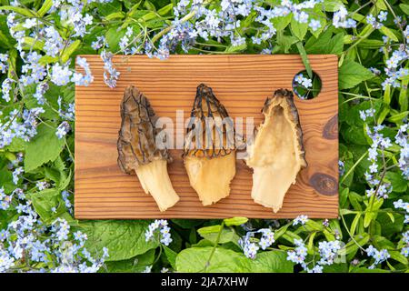 Champignon saisonnier de printemps Morchella conica appelé morel noir dehors sur la planche à découper entouré par Forget me pas des fleurs. Entier et moitié. Banque D'Images