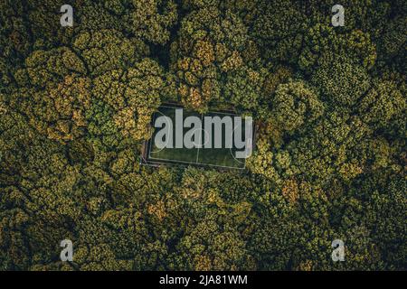 Vue de dessus d'un terrain de football dans la forêt, de grands arbres autour du stade Banque D'Images