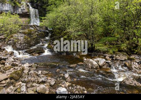 Thornton Force est l'une des chutes d'eau les plus spectaculaires vues sur l'impressionnant Ingleton WaterFalls Trail dans les Yorkshire Dales, Angleterre, Royaume-Uni Banque D'Images