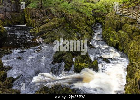 La rivière Doe sur le spectaculaire sentier des cascades d'Ingleton dans les Yorkshire Dales, North Yorkshire, Angleterre, Royaume-Uni Banque D'Images