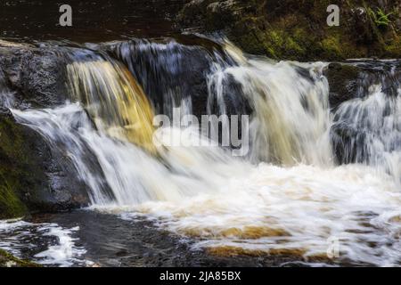 Vue rapprochée des chutes de neige sur la rivière Doe sur le sentier des chutes d'eau d'Ingleton dans le parc national des Yorkshire Dales, North Yorkshire, Angleterre, Royaume-Uni Banque D'Images