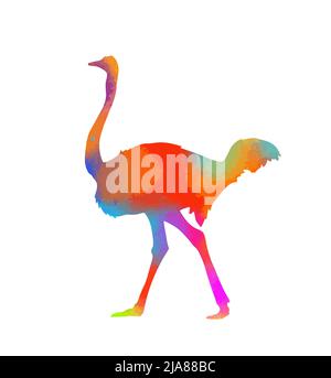 Ostrich abstrait multicolore. Illustration vectorielle Illustration de Vecteur