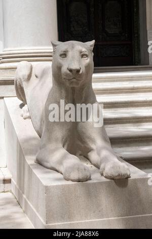 Des statues de lioness sont présentées à la Morgan Library and Museum de Murray Hill, New York City, USA 2022 Banque D'Images