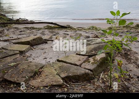 Une petite fosse à feu abandonnée longue sur les rives d'une rivière Banque D'Images