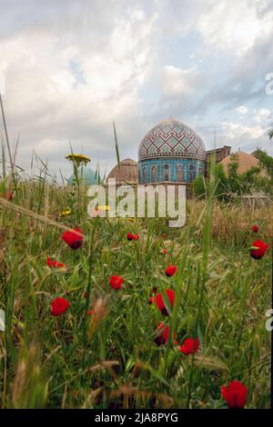 Incroyable Mai nature nad architecture ancienne à Samarkand - Memorial Complex Shakhi-Zinda et les coquelicots rouges Banque D'Images