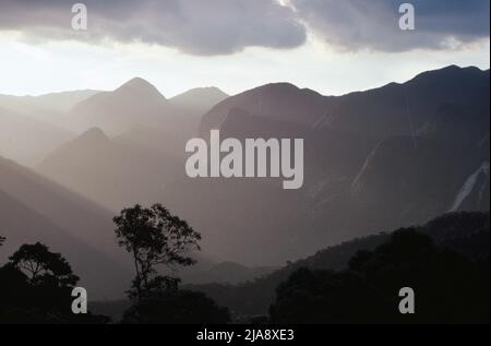 Silhouettes d'arbres et de sommets de montagnes à l'extérieur de Rio de Janeiro, Brésil 1980 Banque D'Images