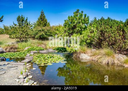 Miyazu Japanese Garden, Nelson, Nouvelle-Zélande, lors d'une journée d'été. Banque D'Images