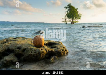 Photo de vacances colorée avec mangrove vert solitaire au milieu de l'océan rempli d'eau bleu vert et le ciel nuageux rempli de rouge et Banque D'Images