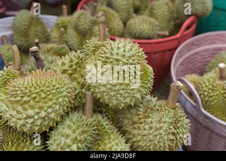 Groupe de durian frais sur le marché de durian. Le fruit durian est placé dans un panier pour la vente à l'acheteur dans le marché des fruits,Thaïlande.Durian qui est connu sous le nom de Banque D'Images