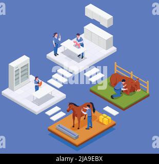 Isométriques animaux de ferme composition vétérinaire abstrait escaliers et salles avec cabinets de vaccination et cabinets de médecins illustration vectorielle Illustration de Vecteur