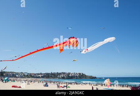 Festival du vent, Bondi Beach, Sydney. Cerfs-volants. Banque D'Images