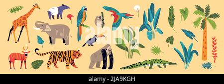 Décor de couleurs de jungle avec des icônes isolées de la flore et de la faune espèces animales et illustrations vectorielles de plantes exotiques de forêt tropicale Illustration de Vecteur