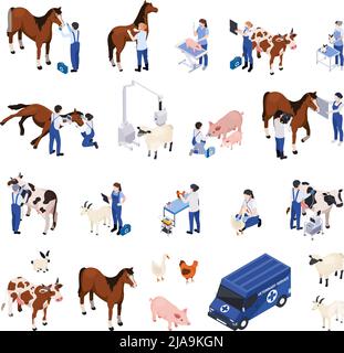 Ensemble avec animaux de ferme animaux animaux vétérinaires compositions isométriques de personnages vétérinaires prenant soin des animaux malades illustration vectorielle Illustration de Vecteur