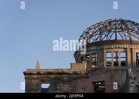 Heron sur le toit du Dôme de la bombe atomique, Hiroshima City, Honshu occidental, Japon Banque D'Images