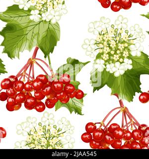 Motif sans couture avec baies et fleurs de viburnum. Rose Guelder. Symbole de l'Ukraine. Illustration de Vecteur