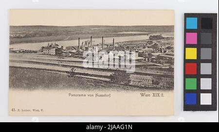 19th, panorama de Nußdorf, du Nussberg, vue sur le Danube, carte postale. P. Leclerc, maison d'édition Banque D'Images