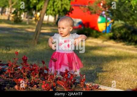 Charmante petite fille voyageur d'enfant explorer les environs à la découverte du monde Banque D'Images