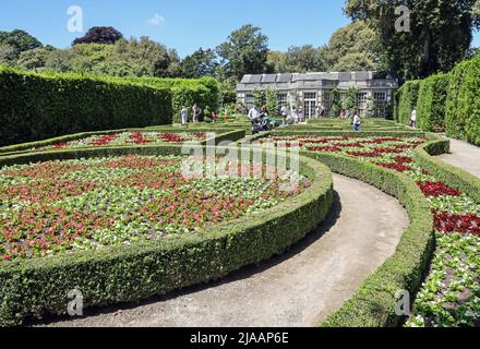 Jardin français au parc Mount Edgcumbe Cornwall 2022 mai Banque D'Images