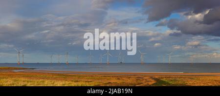 Vue panoramique d'un parc à vent offshore au large de la côte de Middlesbrough, Cleveland, North Yorkshire, Angleterre, Royaume-Uni. Banque D'Images