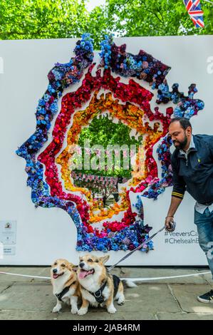 Londres, Royaume-Uni. 29th mai 2022. Il y a généralement un thème royal pour célébrer le Jubilé de platine de la Reine à Chelsea in Bloom, en marge du salon des fleurs de RHS Chelsea 2022. Crédit : Guy Bell/Alay Live News Banque D'Images