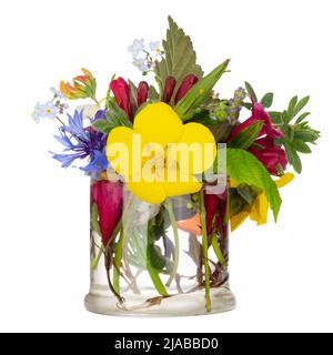Un bouquet de fleurs de champ colorées, herbes. Herbes sauvages Banque D'Images