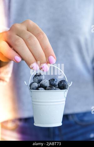 Femme tenant un seau en métal avec des bleuets congelés. Concept de récolte. Les mains des femmes collectent les baies. Concept de saine alimentation. Faire le plein de berr Banque D'Images