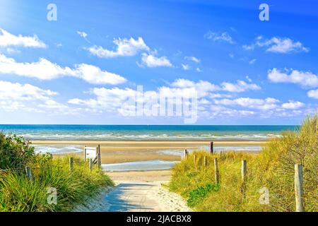 Paysage de dunes et plage à de panne, Mer du Nord, en Belgique, le jour d'été Banque D'Images