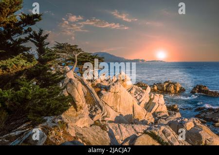 Monterey Complex, Californie, États-Unis Banque D'Images