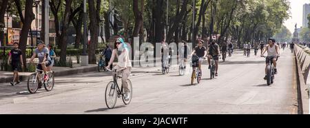 Cyclistes sur l'avenue Avenida Paseo de la Reforma de Mexico lorsqu'il est fermé à la circulation automobile le dimanche après-midi Banque D'Images