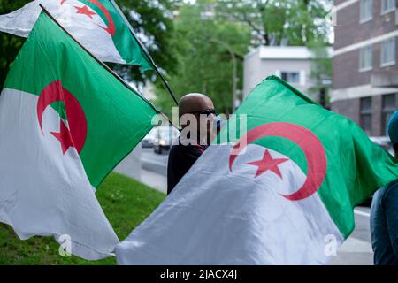 Montréal, Canada. 28th mai 2022. Les manifestants avec des drapeaux algériens commencent à se rassembler devant l'ambassade pour la manifestation. Quatre ans après son entrée dans la diaspora algérienne, le mouvement Hirak continue de lutter pour la démocratie à Montréal. Organisé par tous nos Unis pour notre Algerie, des centaines de manifestants se sont rassemblés devant le Consulat algérien pour demander la destitution des dirigeants politiques actuels, dirigés par le président Abdelmadjid Tebboune. Invoquant la corruption chronique et l'absence de résolutions prévoyables, les manifestants ont qualifié le gouvernement de gouvernement mafieux. Crédit : SOPA Images Limited/Alamy Live News Banque D'Images