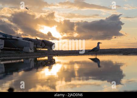 Londres, Royaume-Uni. 29th mai 2022. Météo Royaume-Uni. Coucher de soleil d'été à Whitstable Harbour Kent, Angleterre Royaume-Uni crédit: Glosszoom/Alamy Live News Banque D'Images