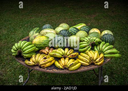 Bananes et pastèques exposées sur une table ronde sur un marché national au Panama Banque D'Images