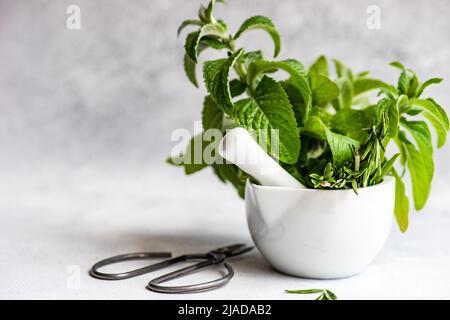 Herbes fraîches de romarin et de menthe dans un mortier et pilon sur une table Banque D'Images