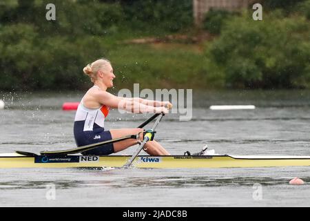 BELGRADE, SERBIE - 29 MAI : Lisa Scheenaard des pays-Bas participant à la finale B des Sculls uniques des femmes lors de la coupe d'aviron mondiale au lac Sava le 29 mai 2022 à Belgrade, Serbie (photo de Nikola Krstic/Orange Pictures) Banque D'Images